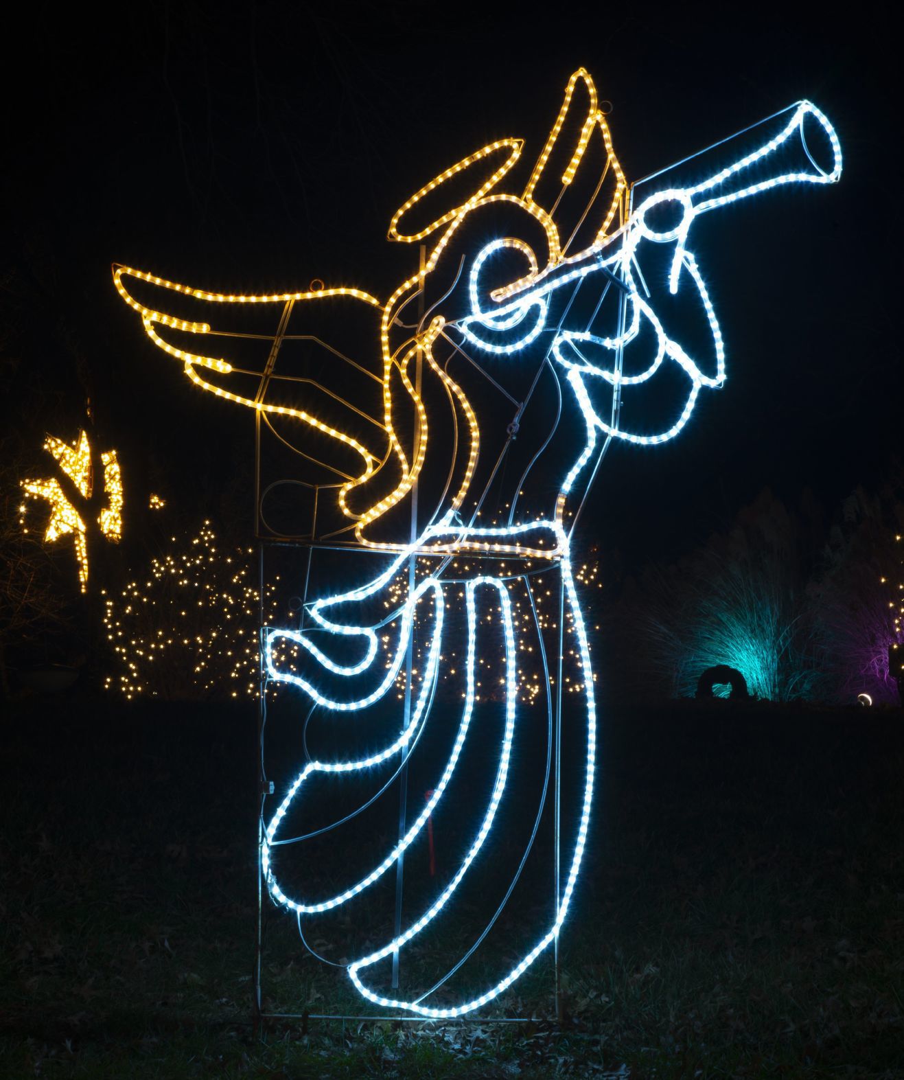 Way of Lights holiday light display at the National Shrine of Our Lady of the Snows